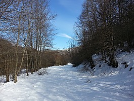 雪,山,步行