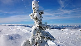 冬天,山,雪