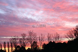 景觀,早上,日出