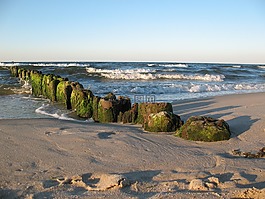 海,海灘,砂