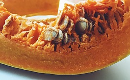 秋季,南瓜,蔬菜