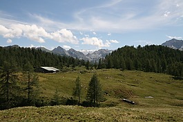 gotzalm,高原,高寒草甸区