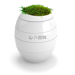 葬礼的骨灰盒,植物,葬礼