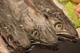 魚,市場,西班牙