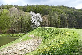 景觀,性質(zhì),池塘
