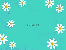 白,深青色,橙色