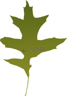葉子,秋,葉