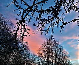 himmel,日落,暮光之城