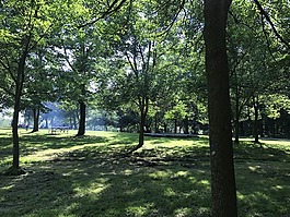 皇家山,公园,加拿大