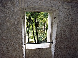 窗口,綠色,樹
