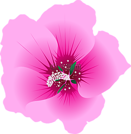 花,花園,綠色