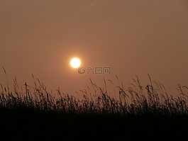 太陽(yáng),日落,abendstimmung
