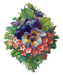花,釀酒,花束
