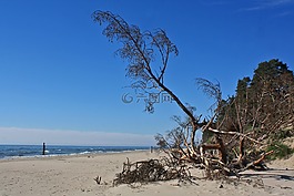 海邊,海,海灘