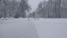 冬季,性質(zhì),雪
