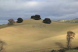 西班牙,丘陵,景觀