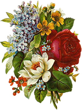 花,釀酒,拼貼畫