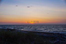 海灘,日落,海洋