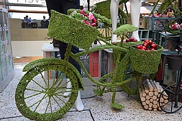 自行車,綠色的自行車,環(huán)境