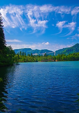 湖,森林,綠色
