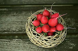 蘿卜,紅色,蔬菜