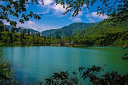 湖,森林,綠色