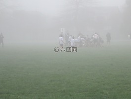 橄欖球,霧,播放