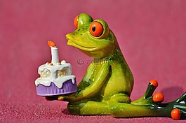 生日快樂(lè),生日,青蛙