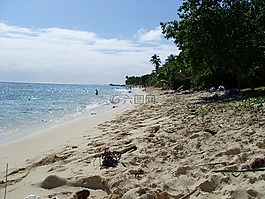 海灘,水,海