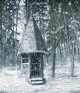 冬天,森林,雪