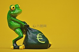 青蛙,錢,歐元