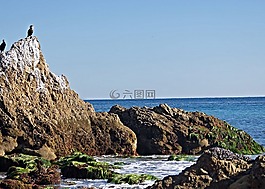 太平洋,水,海洋