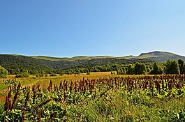 山,景觀,視圖