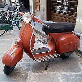 黑盾胡蜂,意大利,滑板車