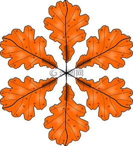 葉子,秋,秋天