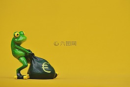 青蛙,錢,歐元