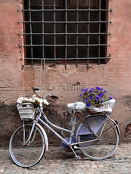 自行車(chē),鮮花,廢紙簍