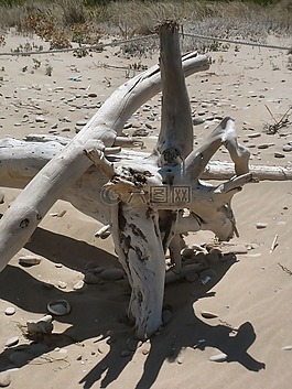 海,海灘,砂