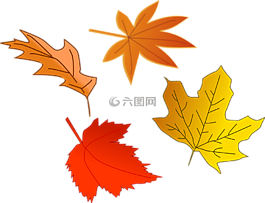 葉子,秋,秋天