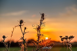 日落,秋季,abendstimmung