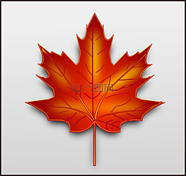 枫,加拿大,秋