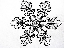 鉛筆素描,雪花,冰晶體