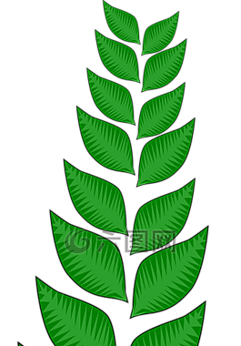 植被,葉子,植物