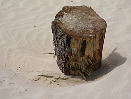 漂浮物,災(zāi)難,海灘