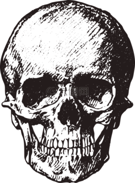 頭骨,釀酒,老