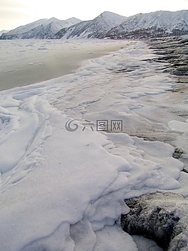 太平洋,海灘,濱