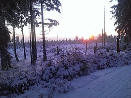 冬天,徑,雪