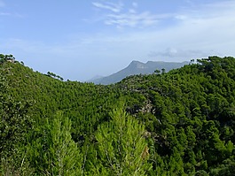 banyalbufar,马洛卡,特曼恩塔纳