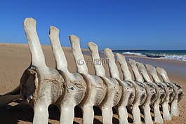 葡萄牙,繁榮,海灘