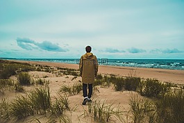 海灘,草,海洋
